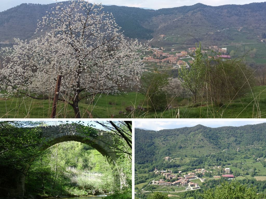 CanPuntí-vistas